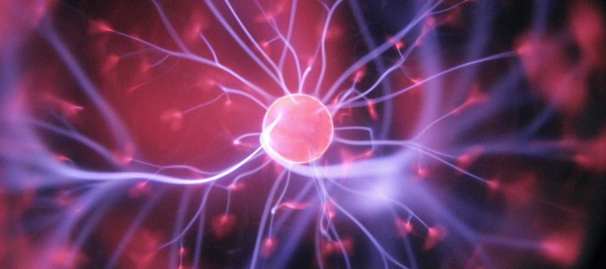 Bright pink and purple neuron